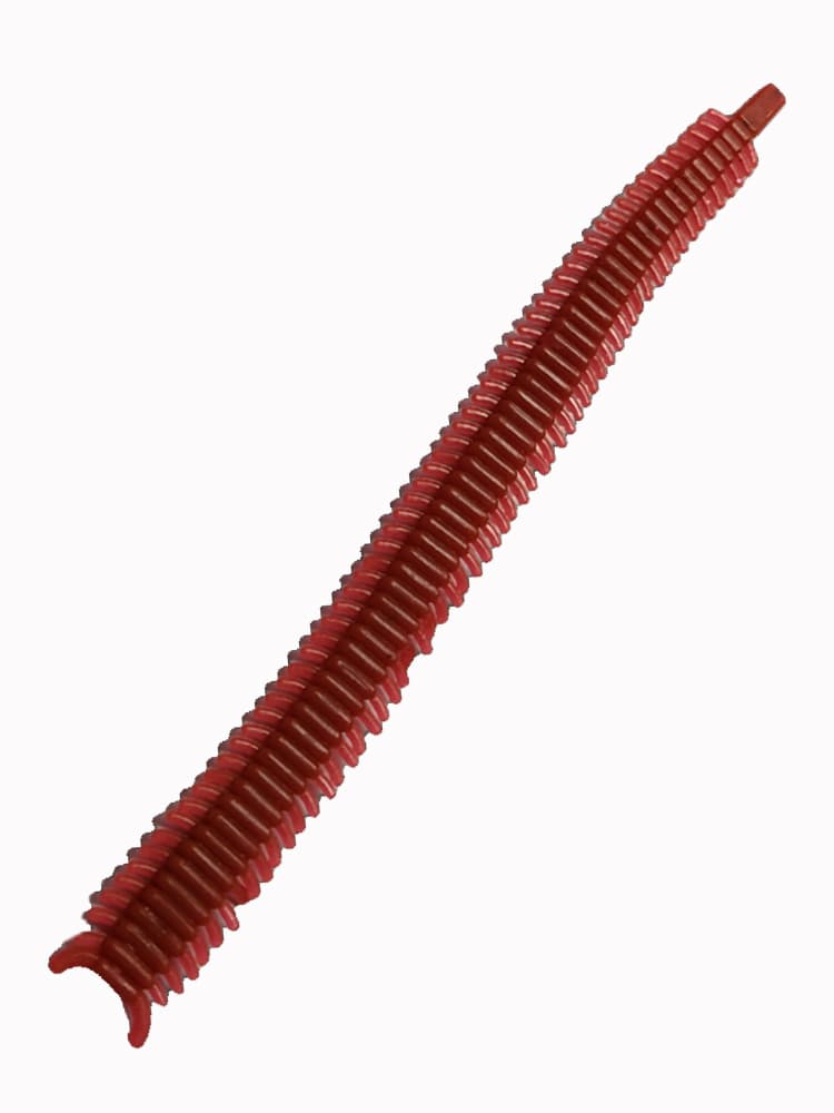 MAXIMUS KILLER WORM - Image 13