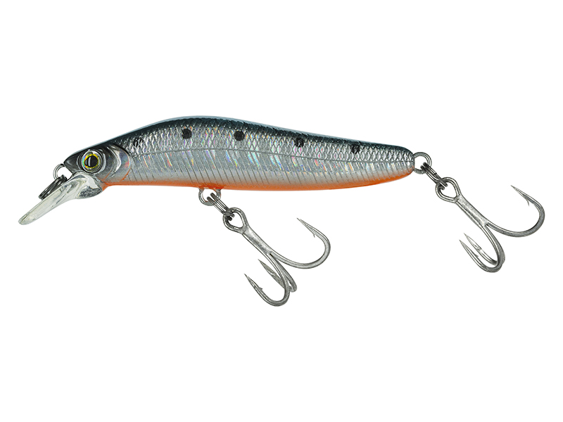 MOLIX JUBARINO FS - Image 2