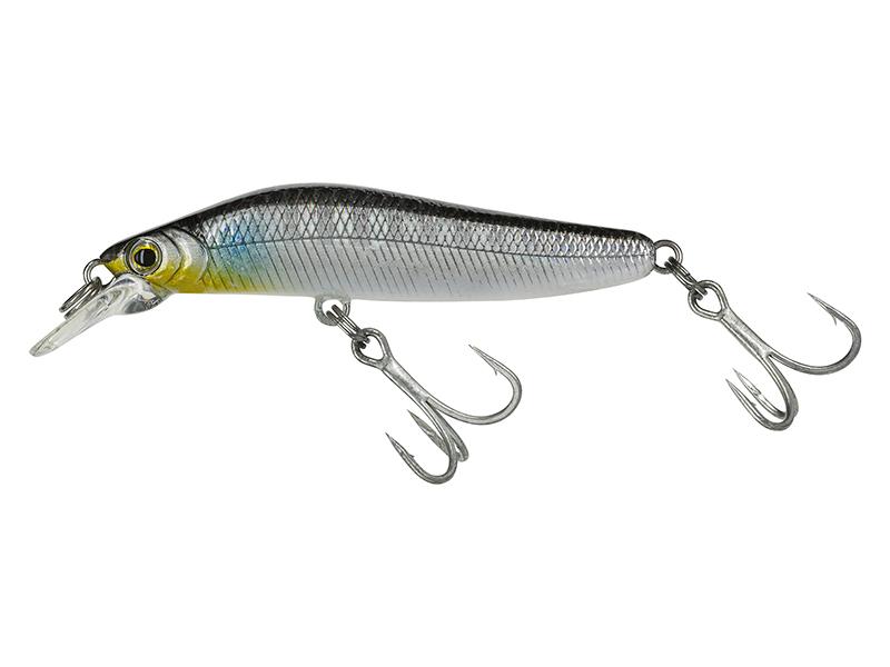 MOLIX JUBARINO FS - Image 3