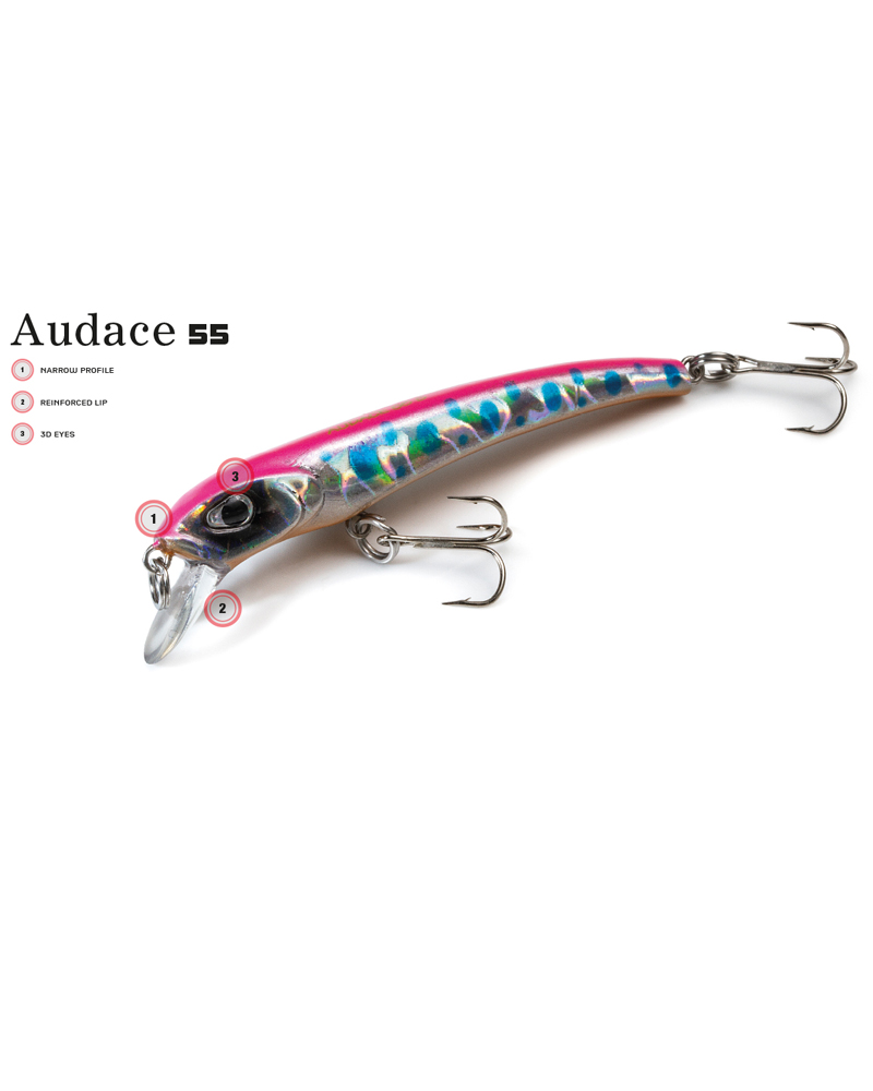 MOLIX Audace 55 sinking - bg