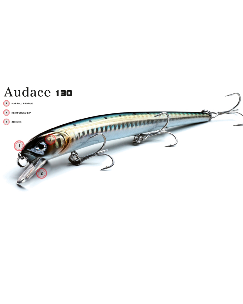 MOLIX AUDACE 130 - bg