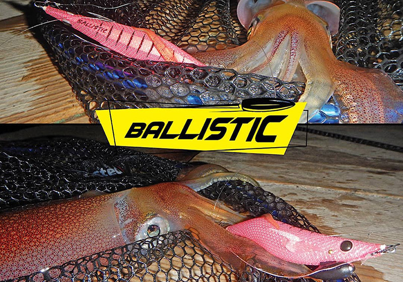DTD BALLISTIC EGI 3.0B - Image 3
