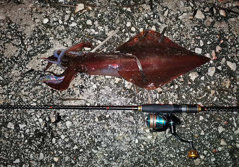 Lucky John Anira EGIRA 8΄3" Eging Rod - Image 7