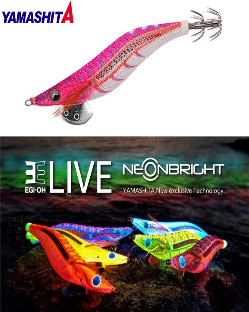 Yamashita Egi-Oh Live Neon Bright 3.0 - bg