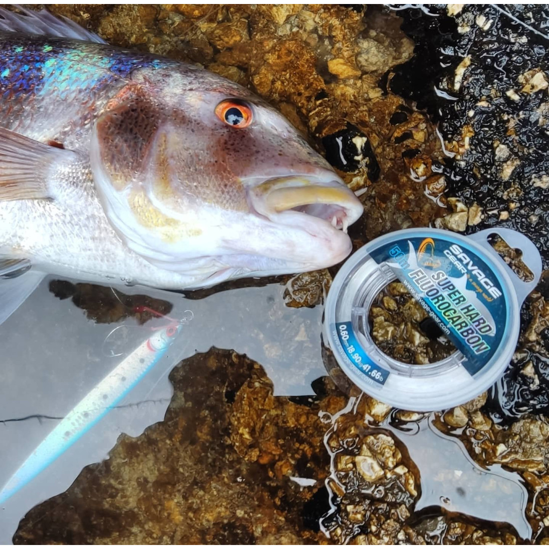 Savage Gear Super Hard Fluorocarbon - Image 2