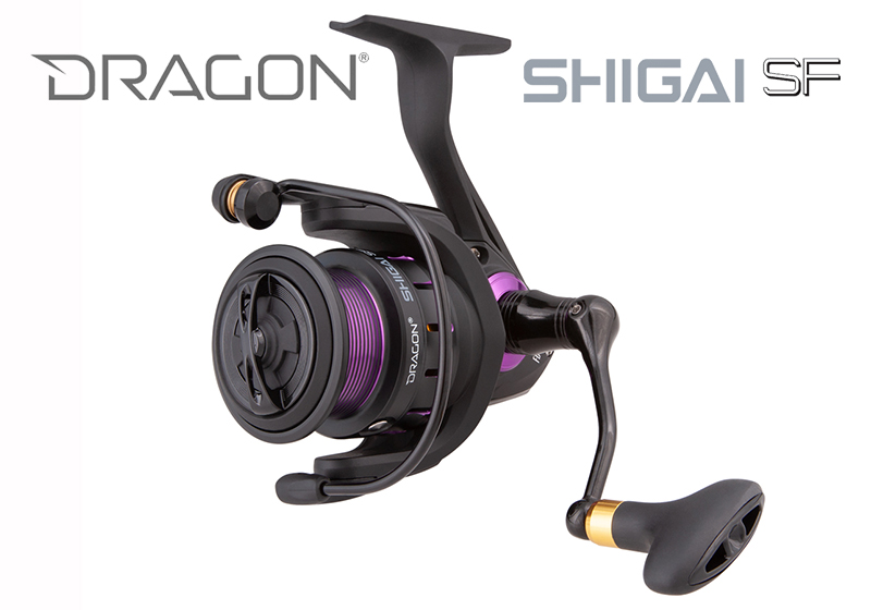 DRAGON SHIGAI SF FD - bg