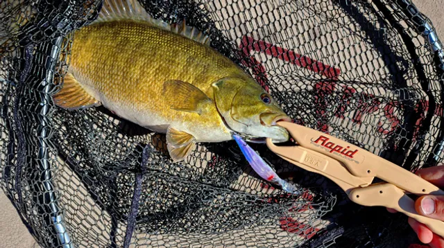 RAPID FISH LIP GRIPPER (GRIP ΨΑΡΕΜΑΤΟΣ) - Image 3