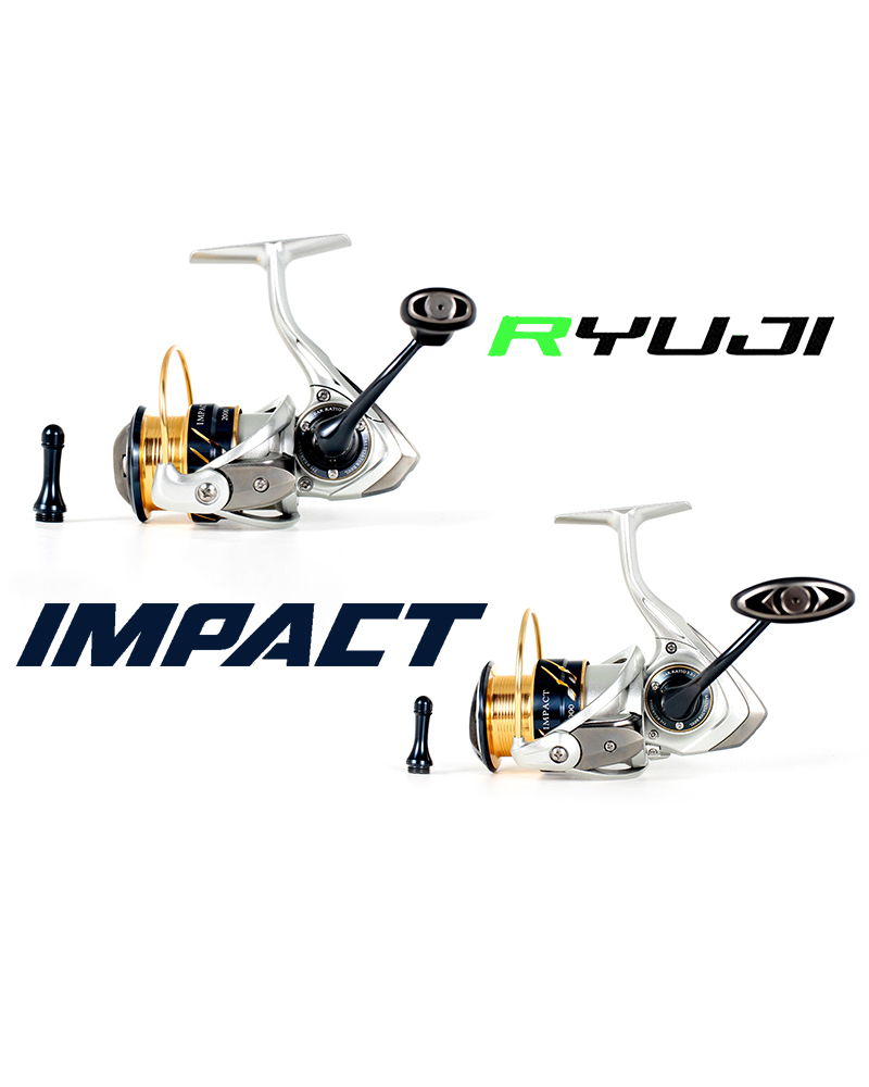 Ryuji IMPACT - bg