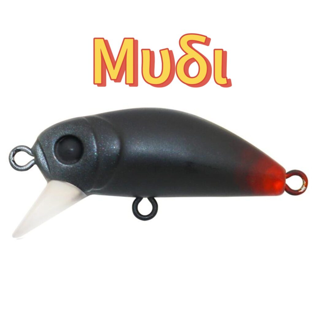 BIDIK35