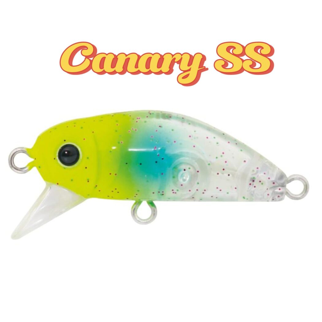 BIDIK35