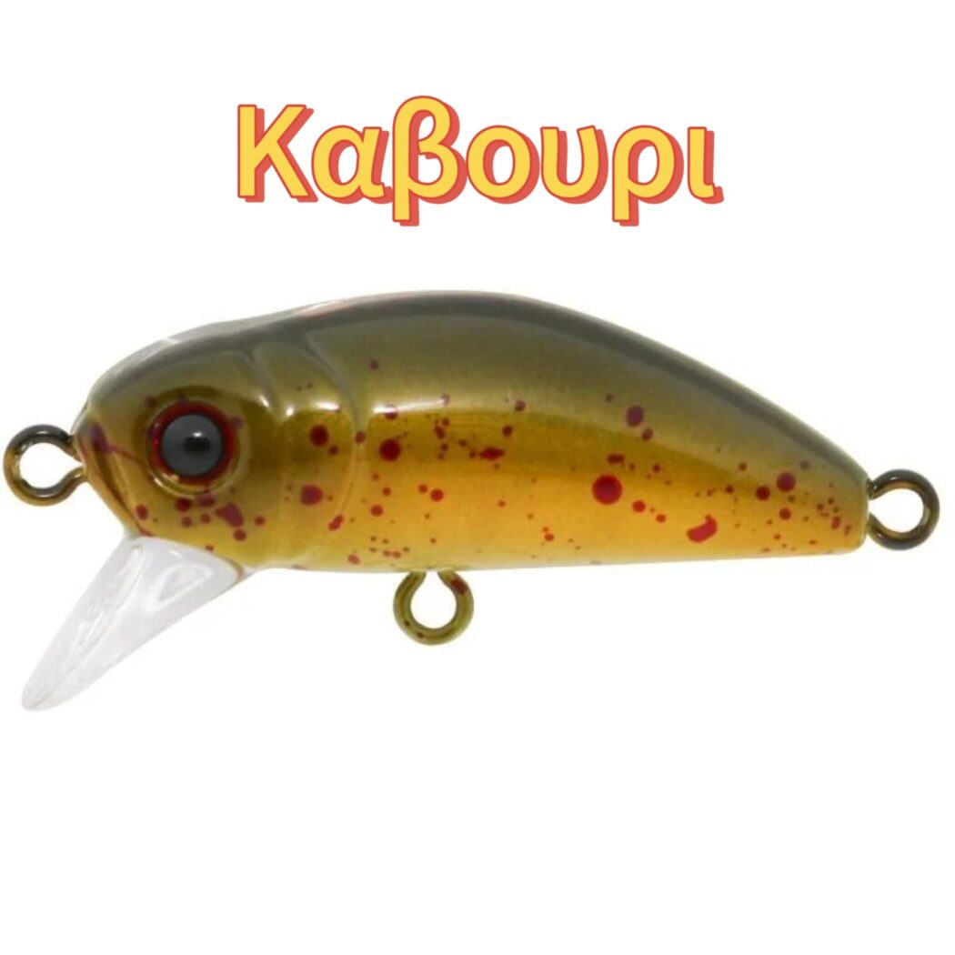 BIDIK35