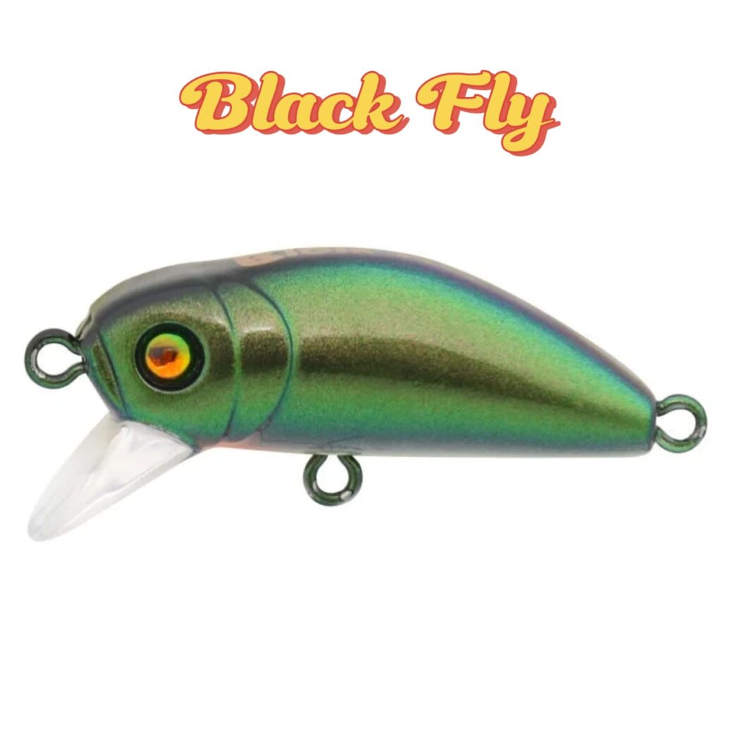 BIDIK35