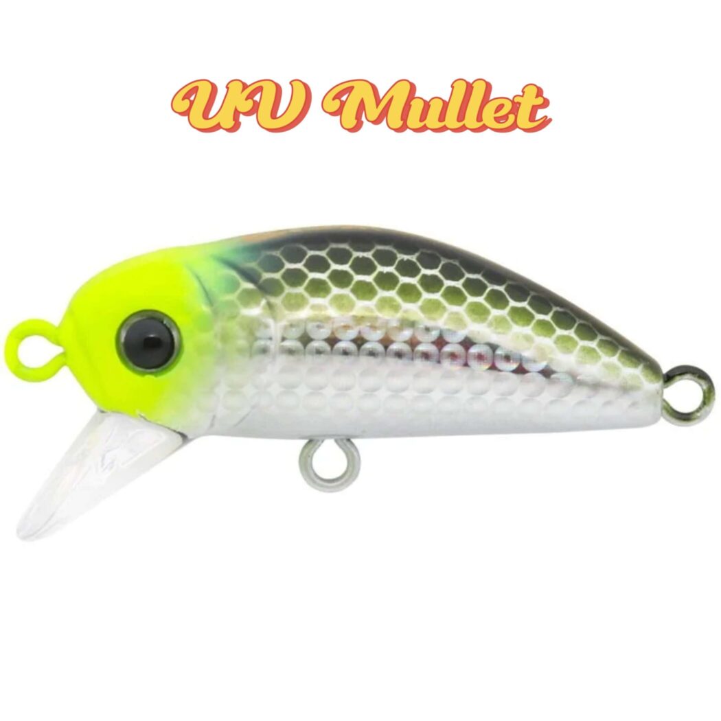 BIDIK35