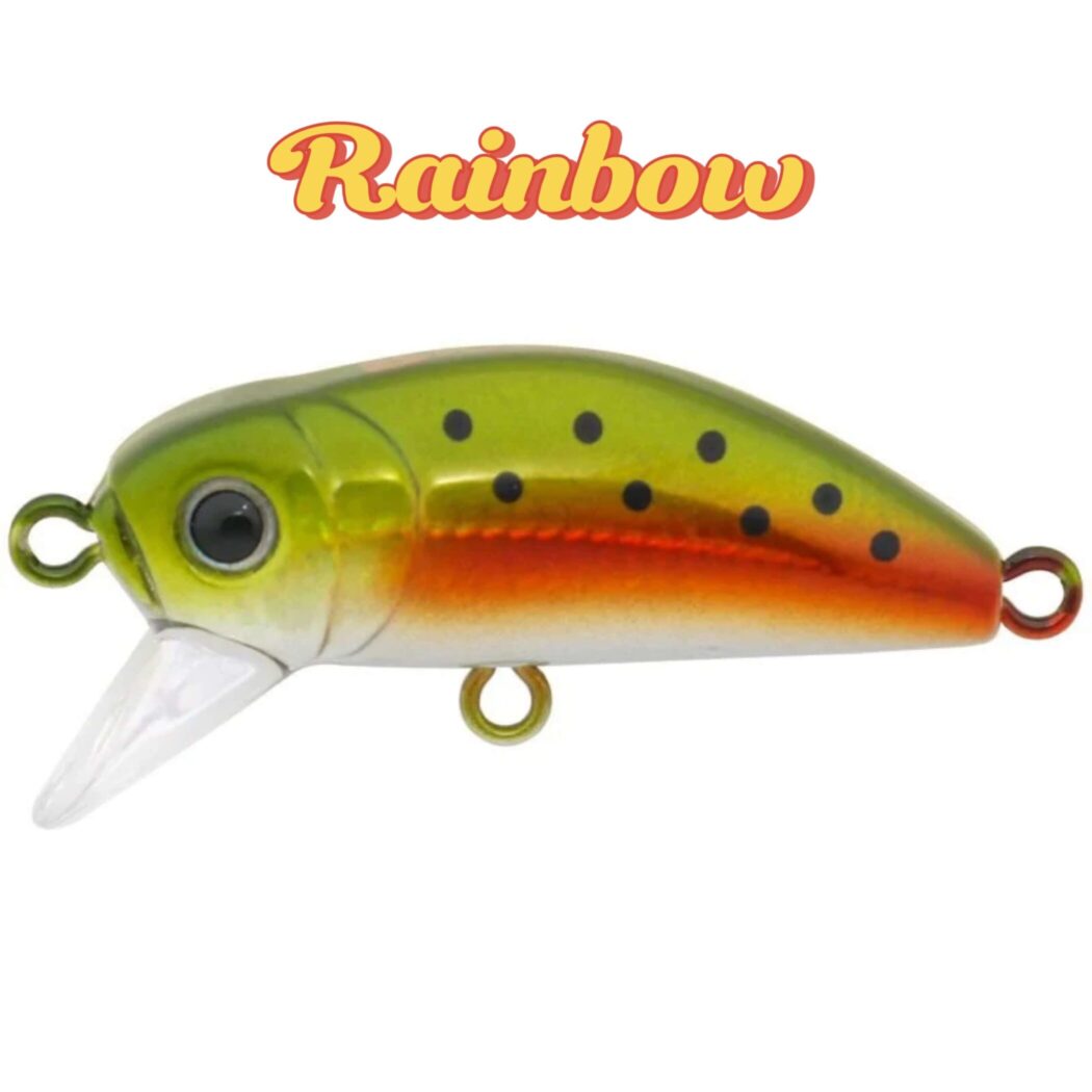 BIDIK35