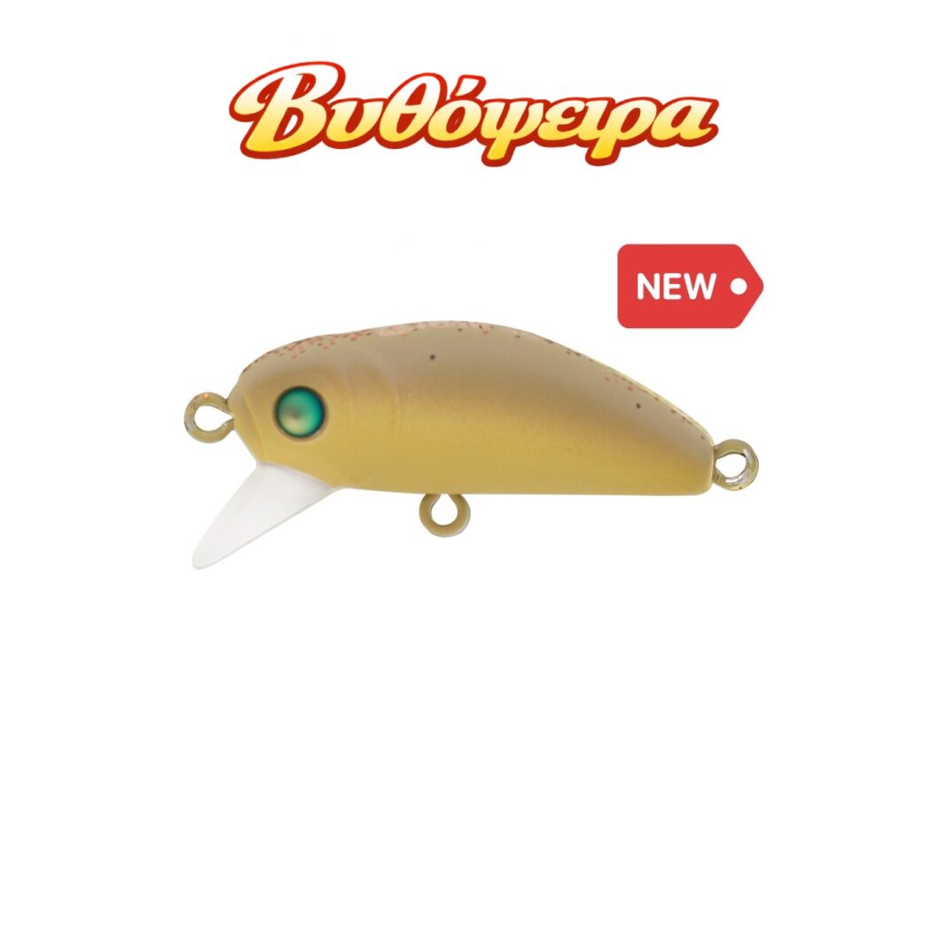 BIDIK35